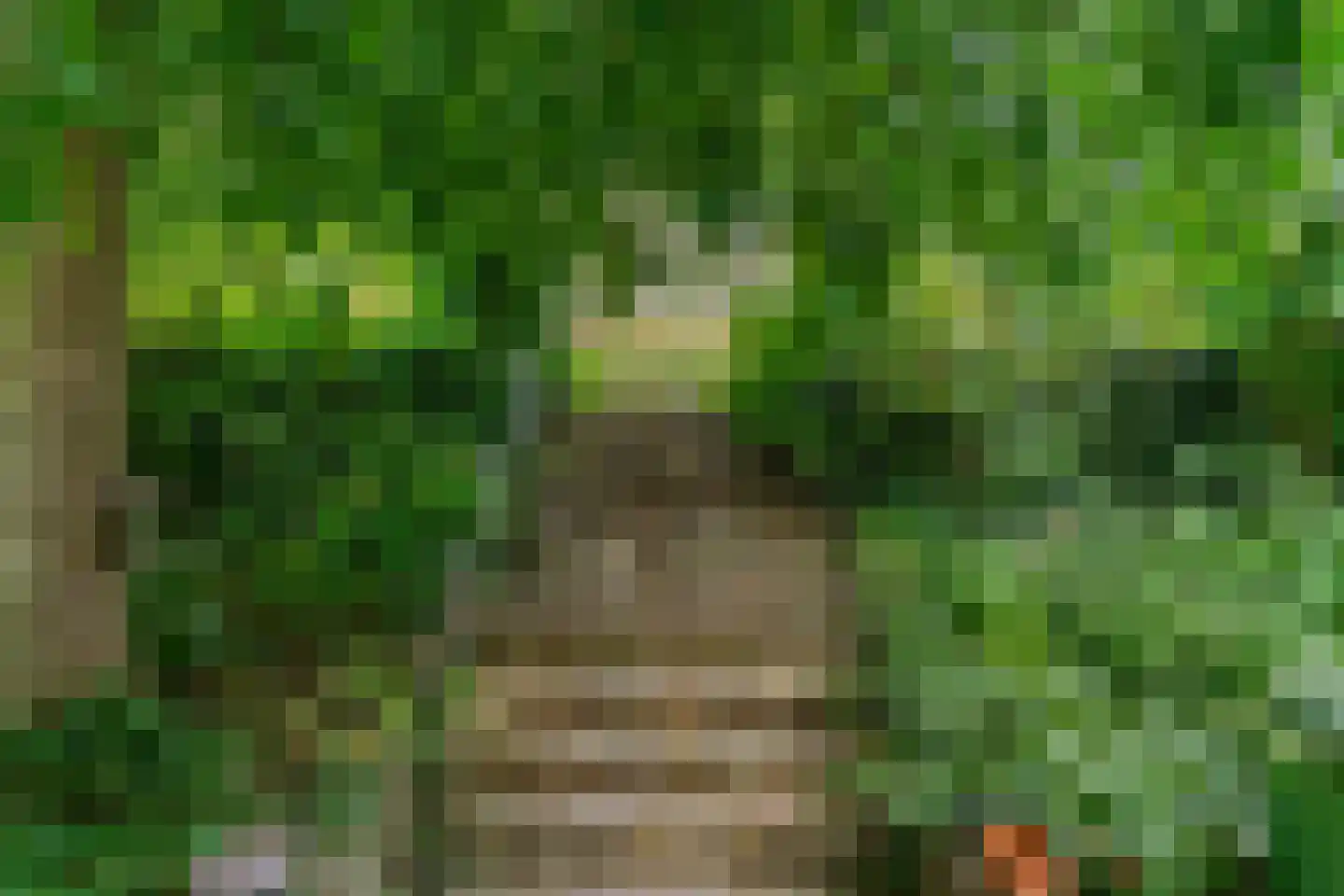 Daalhemerweg 40 Valkenburg thumbnail 52