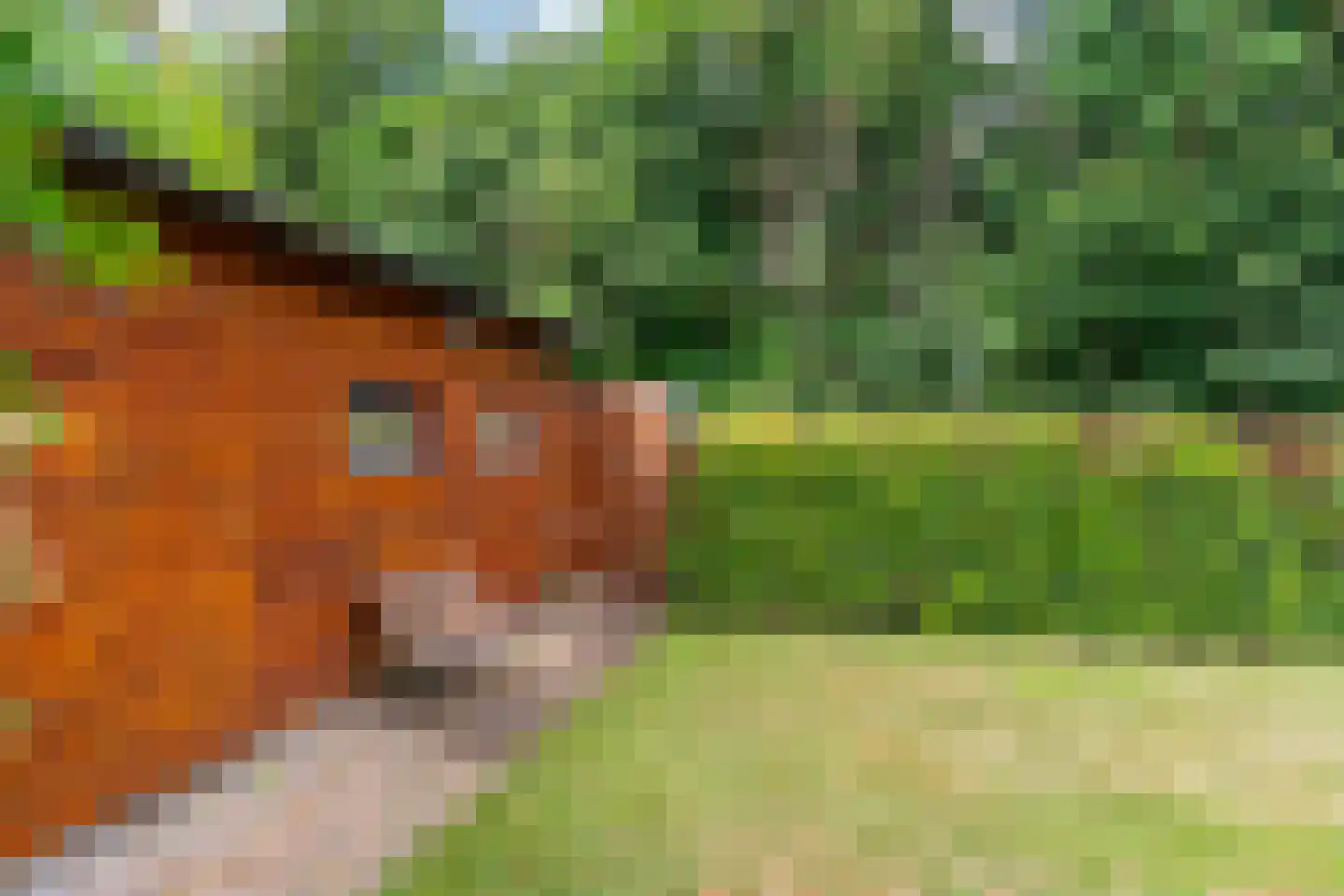 Daalhemerweg 40 Valkenburg thumbnail 55