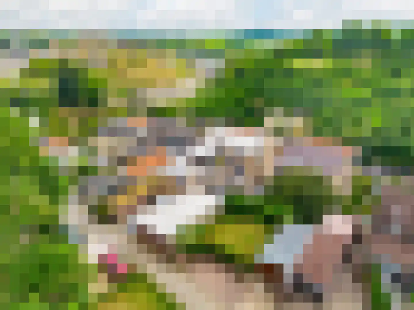 Daalhemerweg 40 Valkenburg thumbnail 59