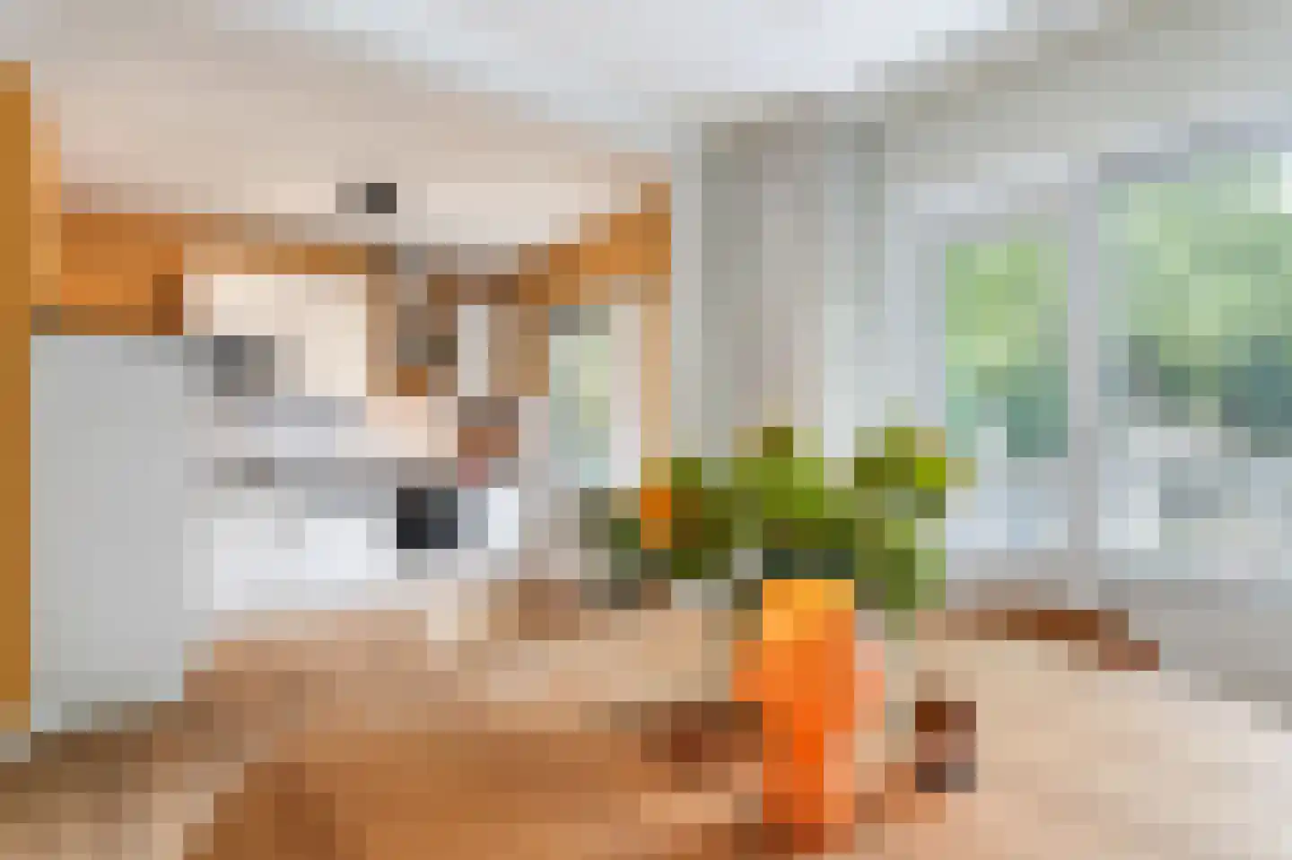 Daalhemerweg 56 Valkenburg thumbnail 11