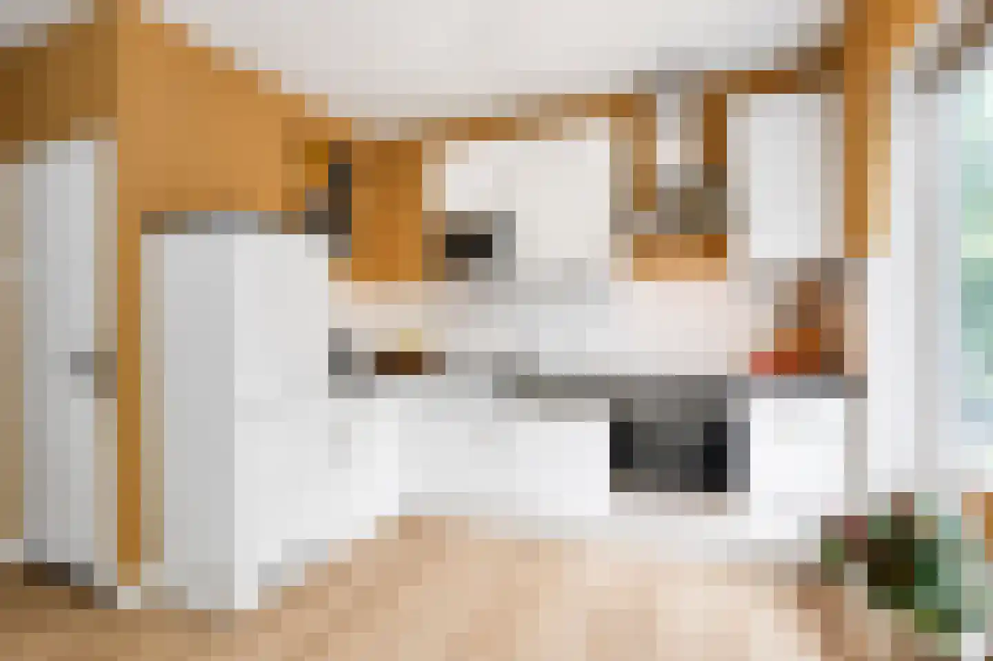 Daalhemerweg 56 Valkenburg thumbnail 14