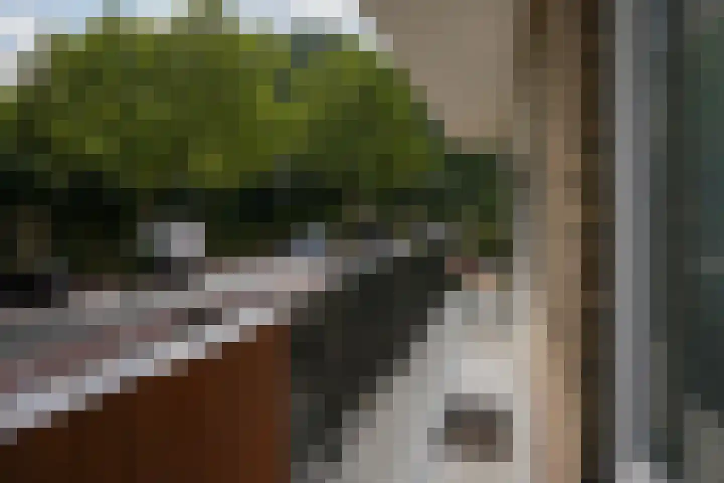 Daalhemerweg 56 Valkenburg thumbnail 26