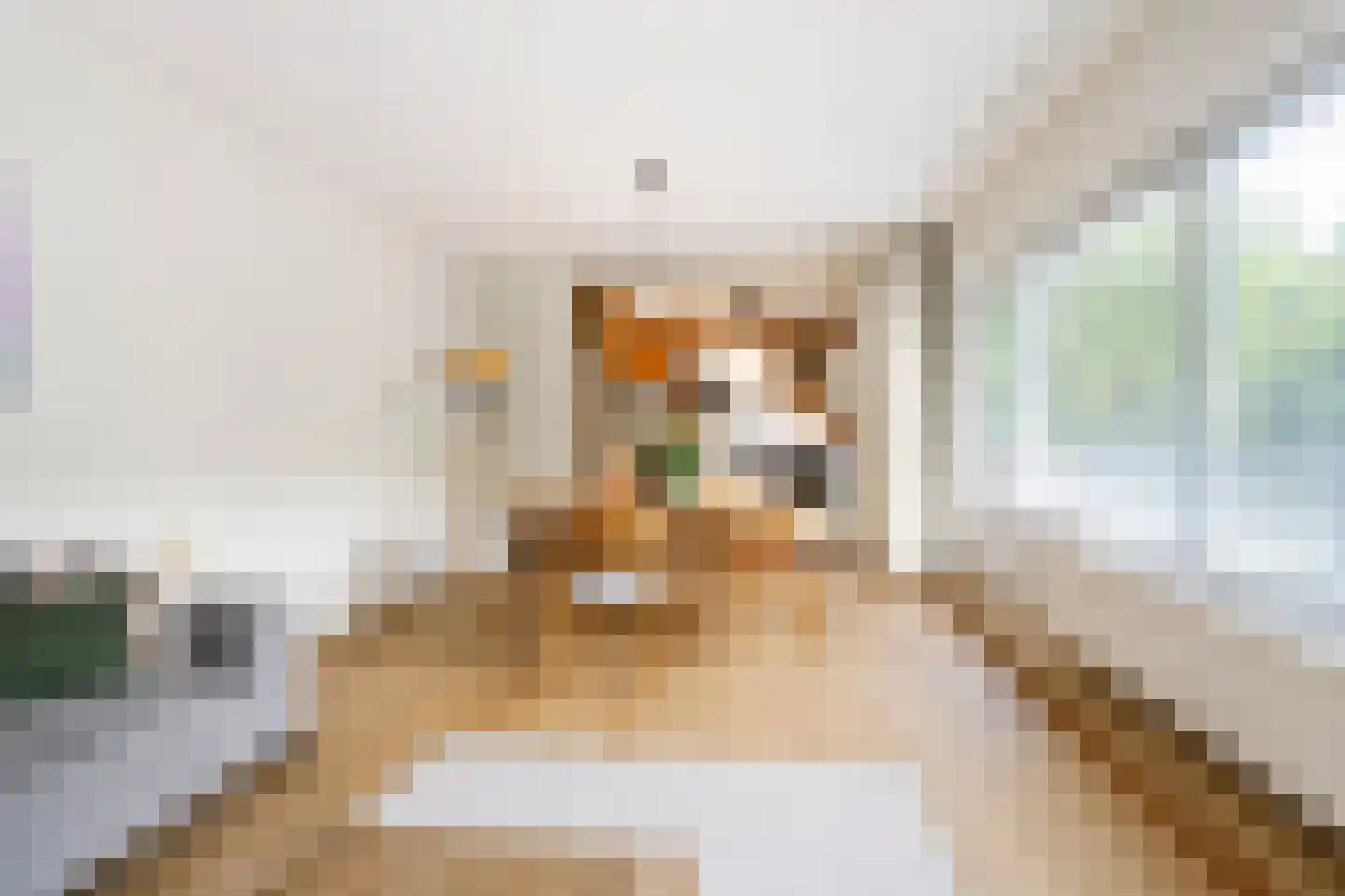 Daalhemerweg 56 Valkenburg thumbnail 8