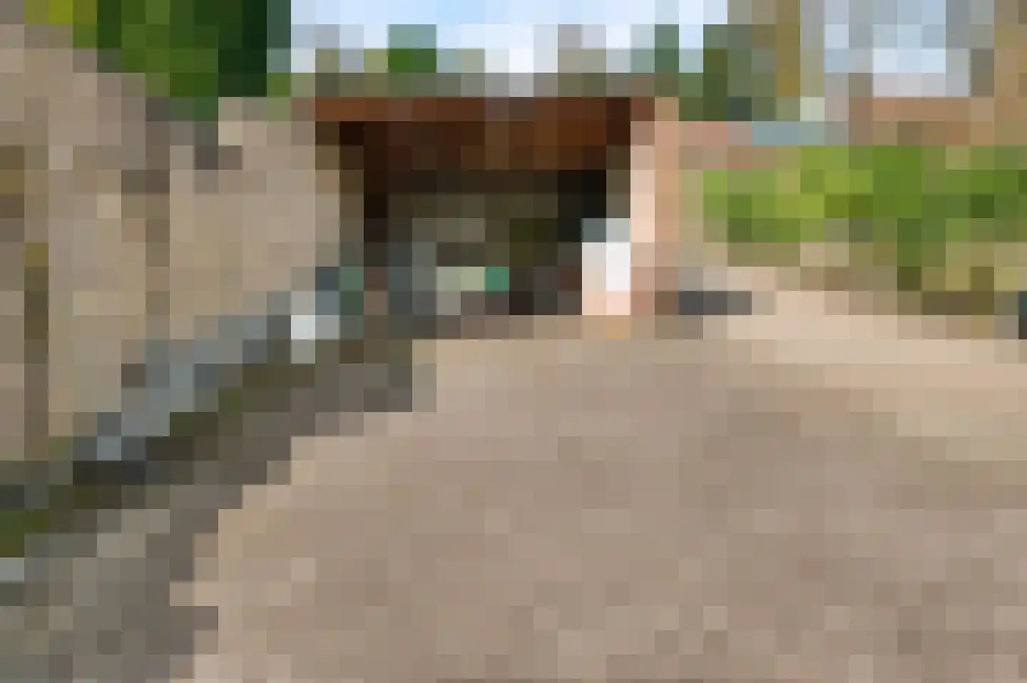 Daalhemerweg 70 Valkenburg thumbnail 19