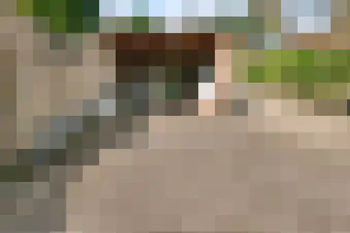 Daalhemerweg 70 Valkenburg thumbnail 19