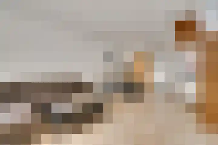 Daalhemerweg 70 Valkenburg thumbnail 6