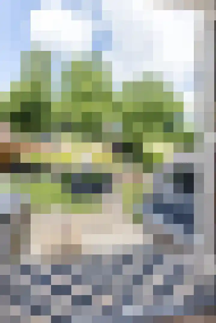 Daalhemerweg 90 Valkenburg thumbnail 20