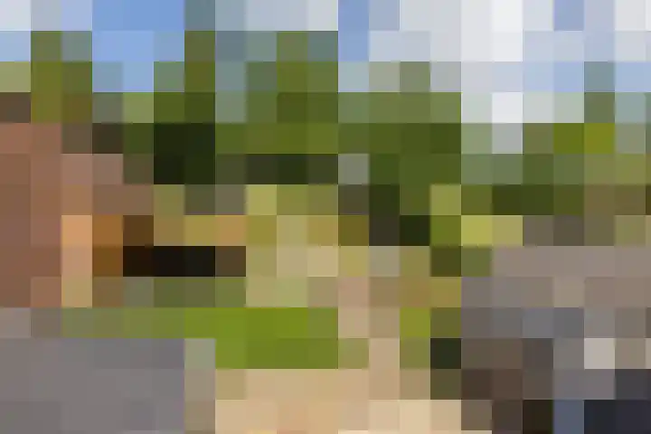Daalhemerweg 90 Valkenburg thumbnail 21