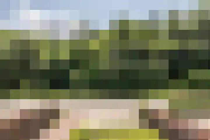 Daalhemerweg 90 Valkenburg thumbnail 30