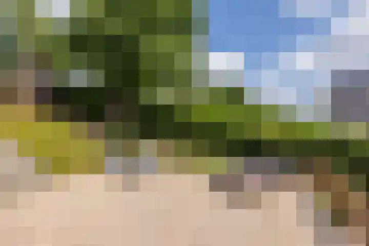 Daalhemerweg 90 Valkenburg thumbnail 36