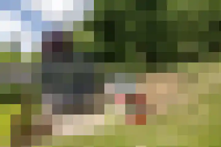 Daalhemerweg 90 Valkenburg thumbnail 40