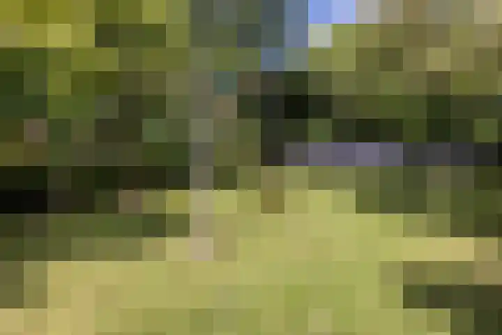 Daalhemerweg 90 Valkenburg thumbnail 41