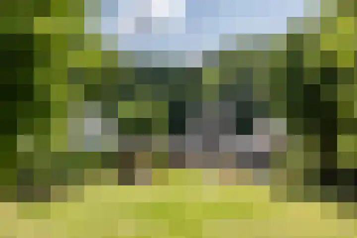Daalhemerweg 90 Valkenburg thumbnail 44