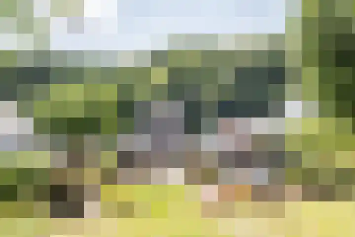 Daalhemerweg 90 Valkenburg thumbnail 45