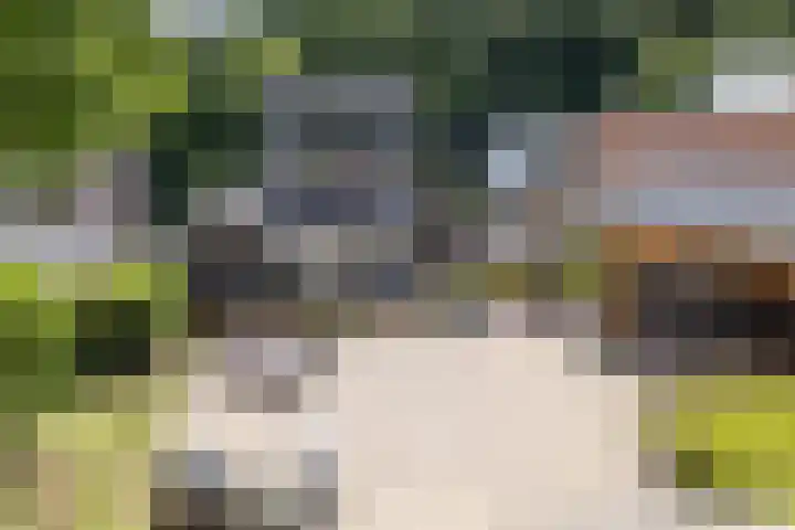 Daalhemerweg 90 Valkenburg thumbnail 47