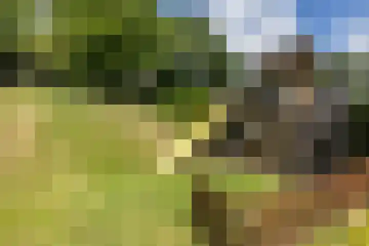 Daalhemerweg 90 Valkenburg thumbnail 48