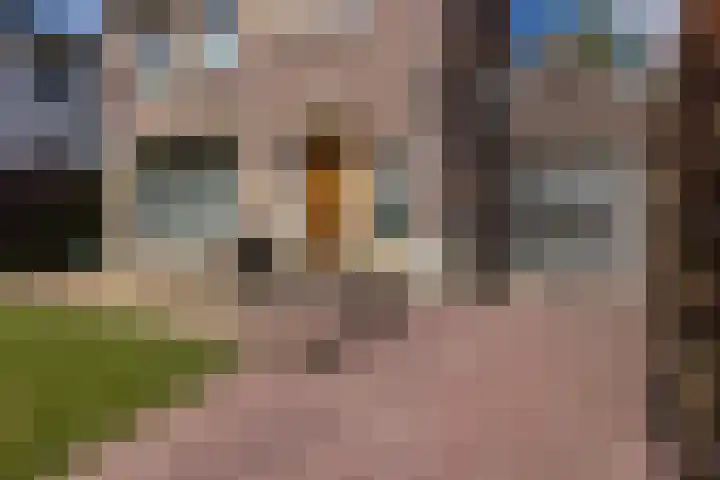 Daalhemerweg 90 Valkenburg thumbnail 50