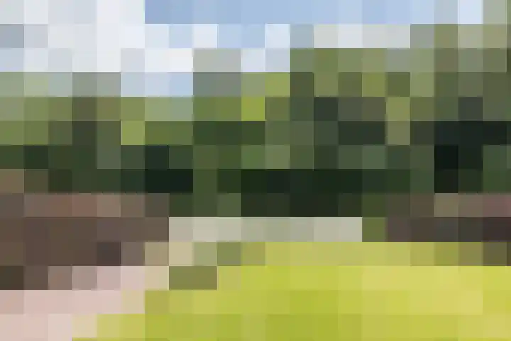Daalhemerweg 90 Valkenburg thumbnail 55