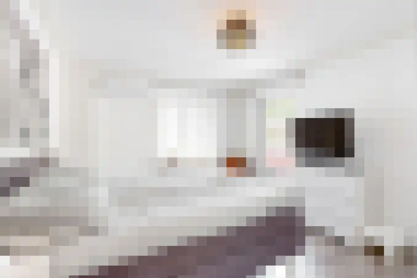 Daalhemerweg 92 Valkenburg thumbnail 27