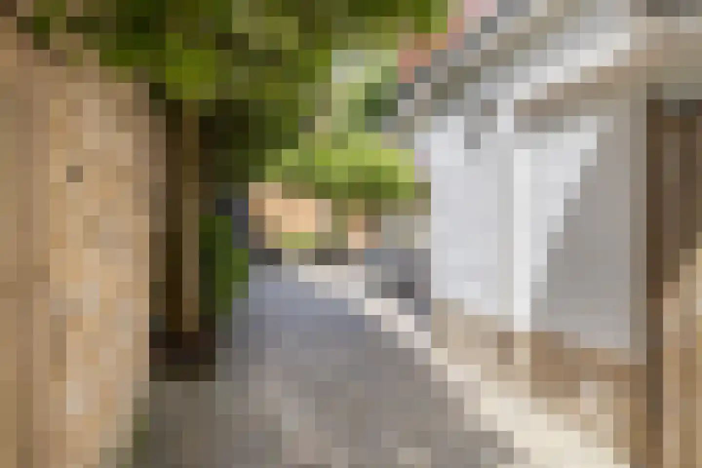 Daalhemerweg 92 Valkenburg thumbnail 30