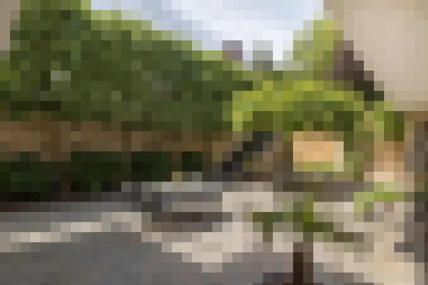 Daalhemerweg 92 Valkenburg thumbnail 31