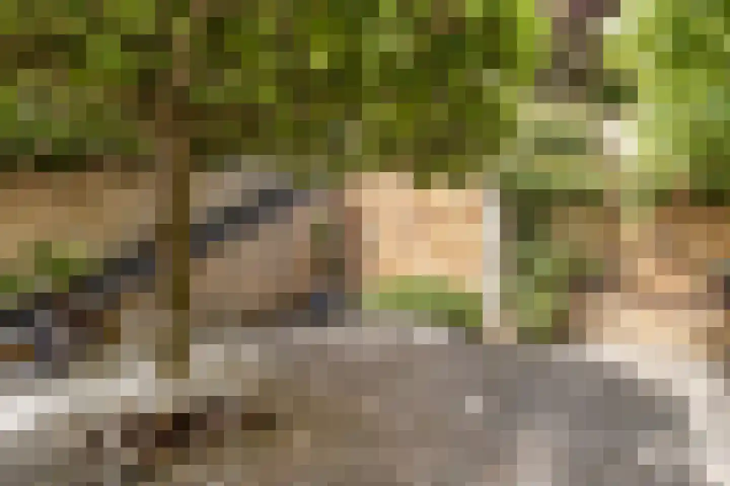 Daalhemerweg 92 Valkenburg thumbnail 32