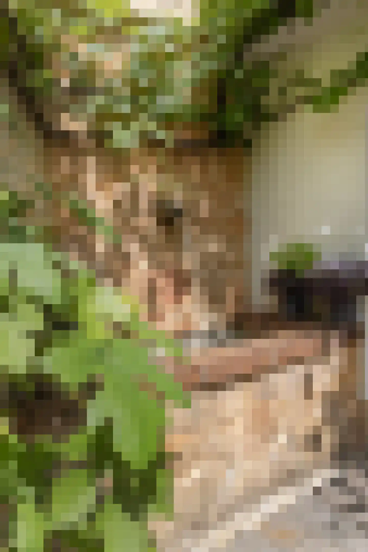 Daalhemerweg 92 Valkenburg thumbnail 34