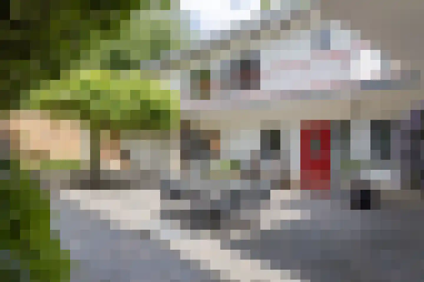 Daalhemerweg 92 Valkenburg thumbnail 35