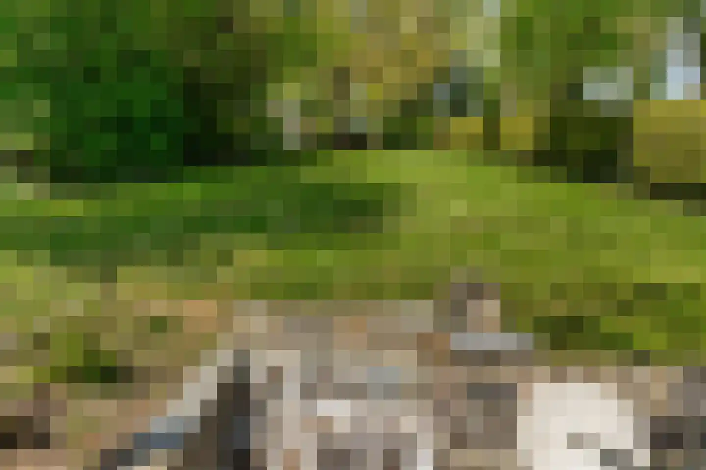 Daalhemerweg 92 Valkenburg thumbnail 51