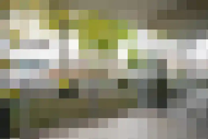 Daalhof 17 Geleen thumbnail 18