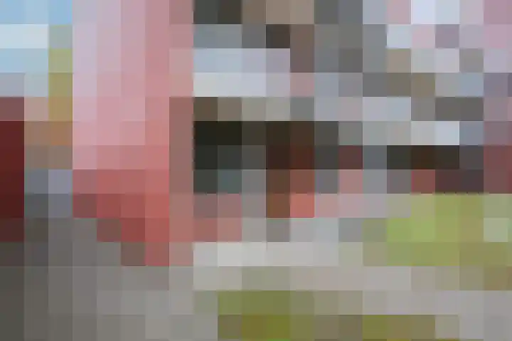 Daalhof 17 Geleen thumbnail 4