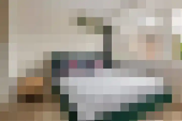 Daalhof 17 Geleen thumbnail 9