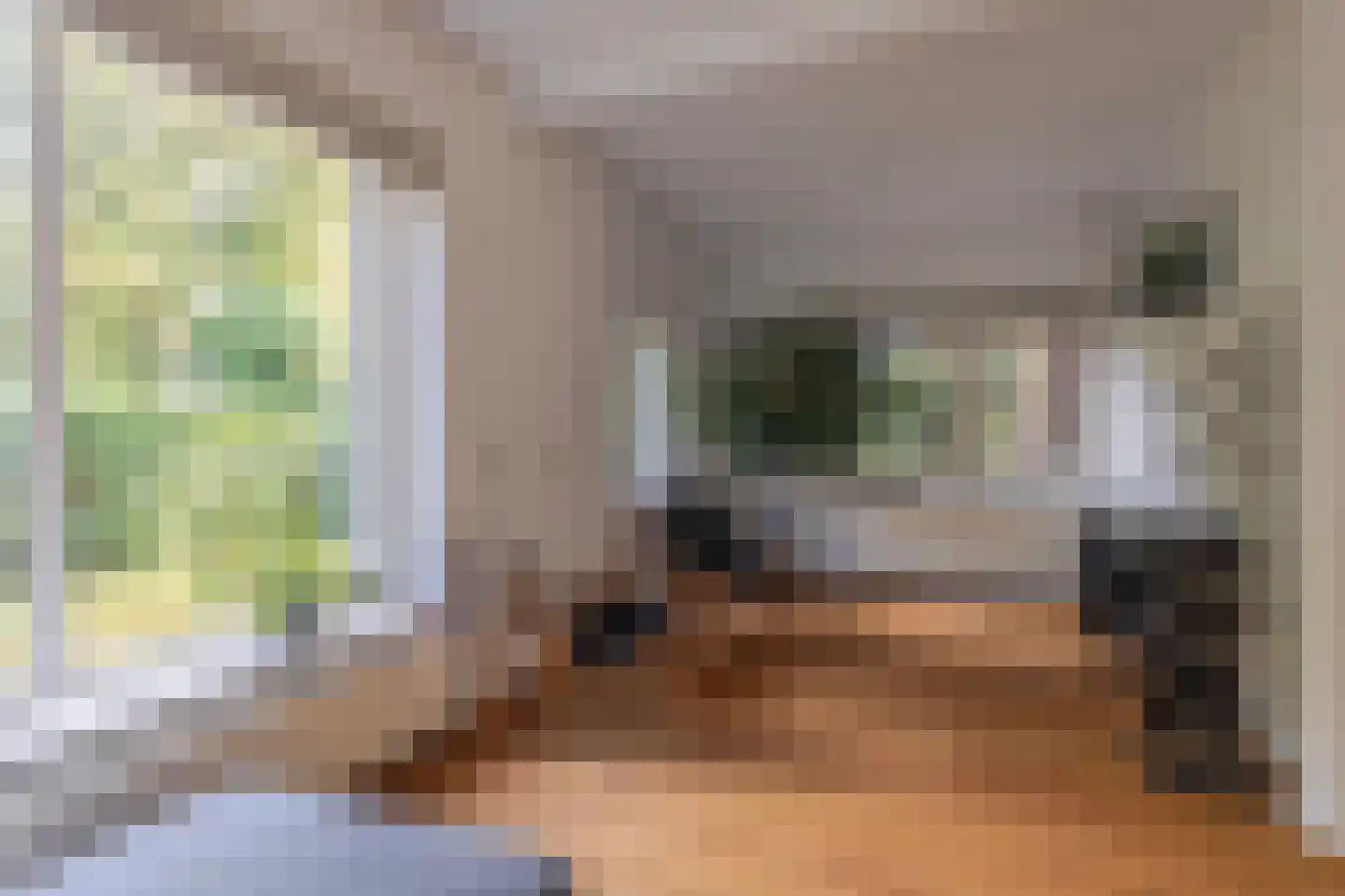 Daalhuizerweg 13 Velp thumbnail 10