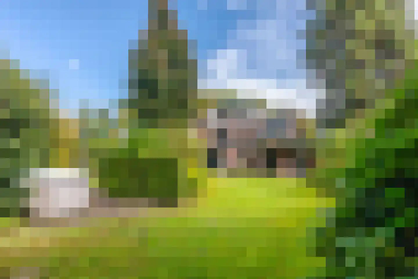 Daalhuizerweg 13 Velp thumbnail 24