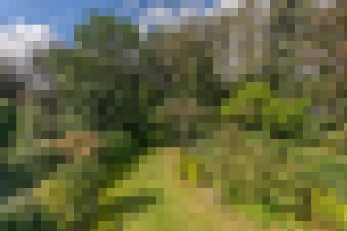 Daalhuizerweg 13 Velp thumbnail 25