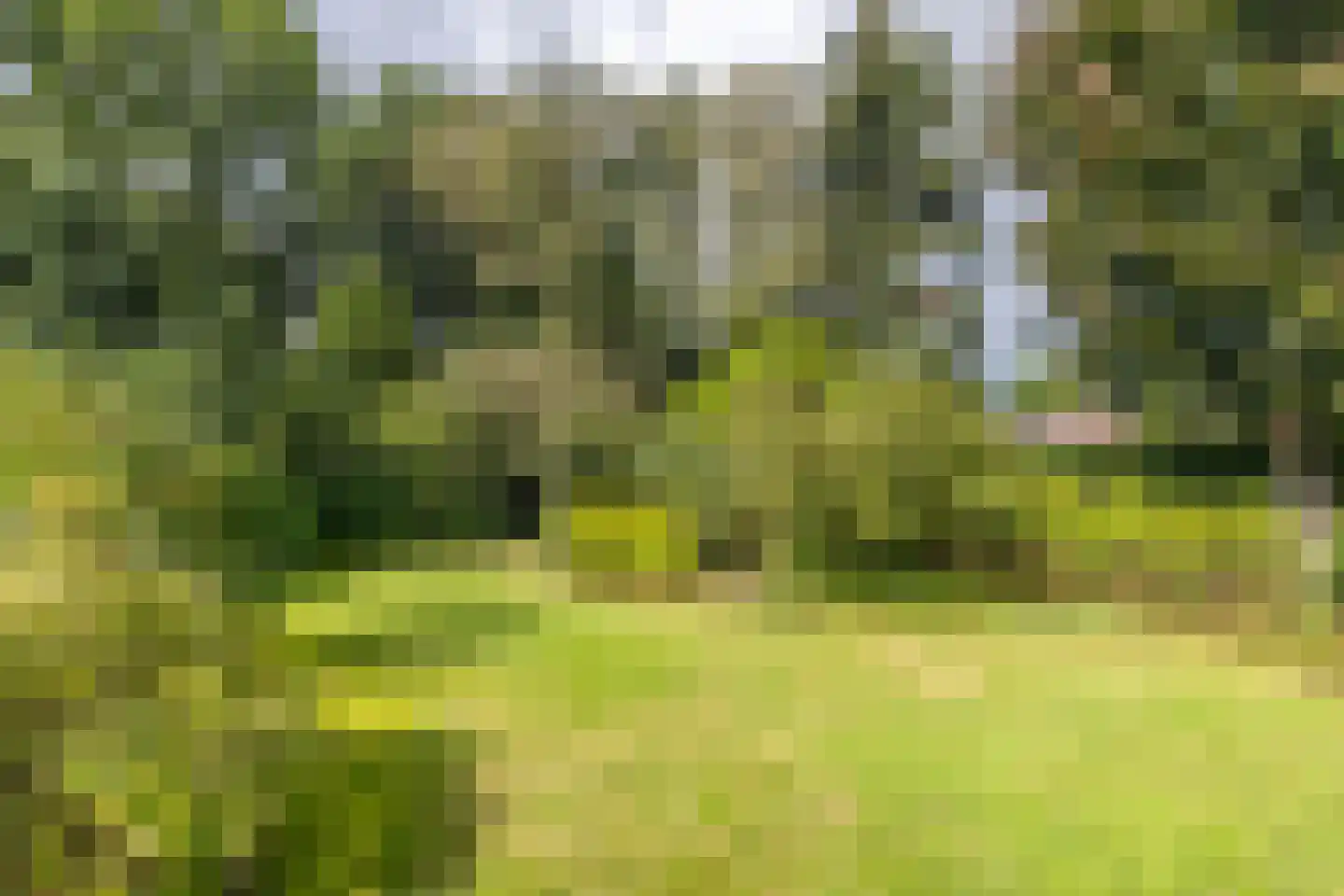 Daalhuizerweg 13 Velp thumbnail 26