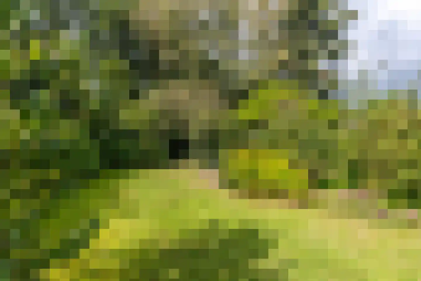 Daalhuizerweg 13 Velp thumbnail 27