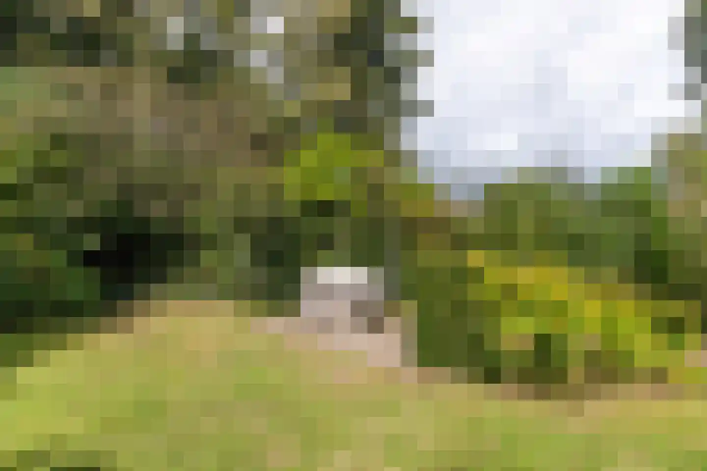 Daalhuizerweg 13 Velp thumbnail 28