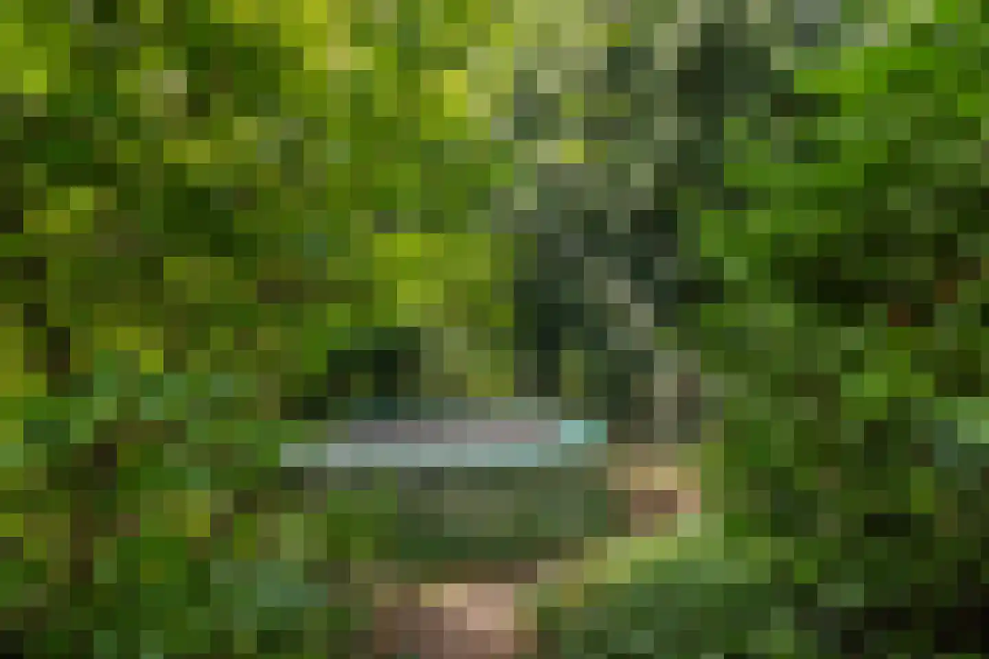Daalhuizerweg 13 Velp thumbnail 29