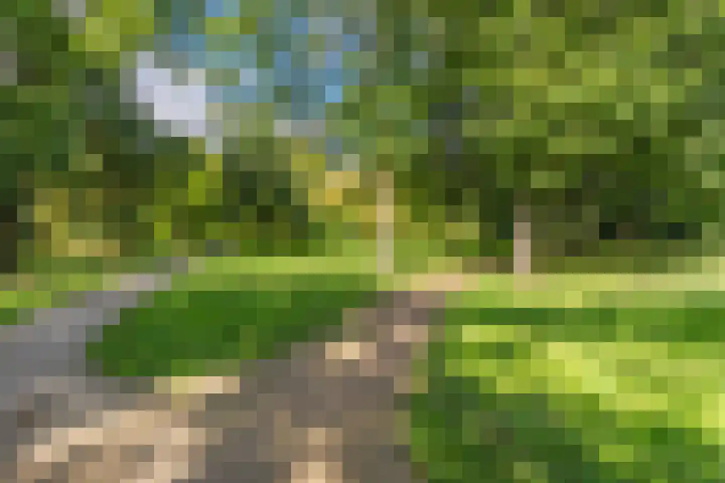 Daalhuizerweg 13 Velp thumbnail 30