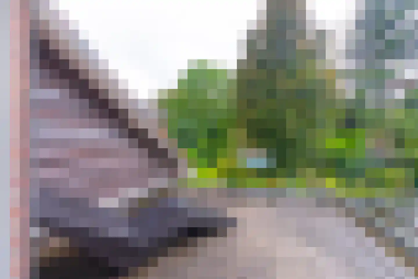 Daalhuizerweg 13 Velp thumbnail 38
