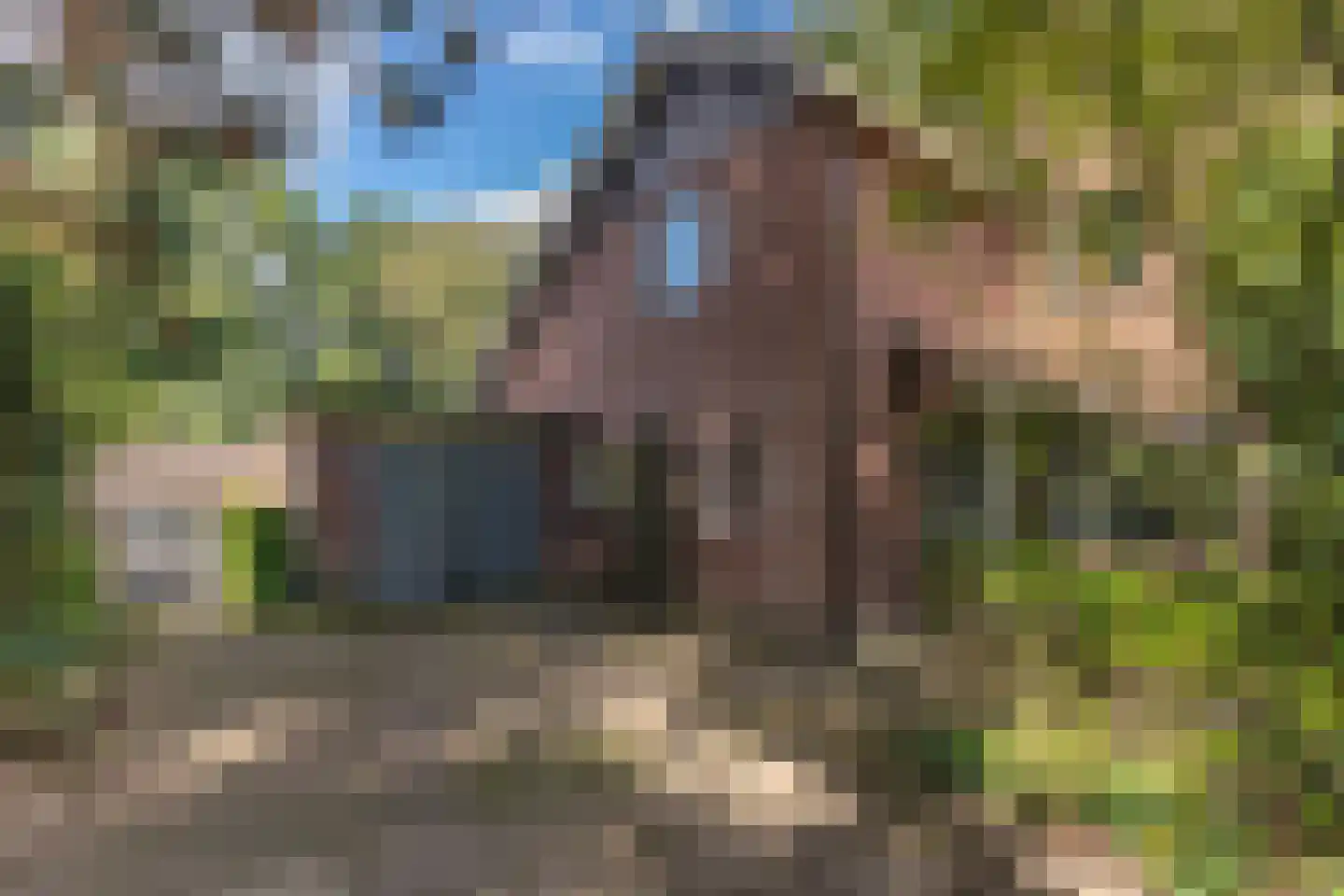 Daalhuizerweg 13 Velp thumbnail 4