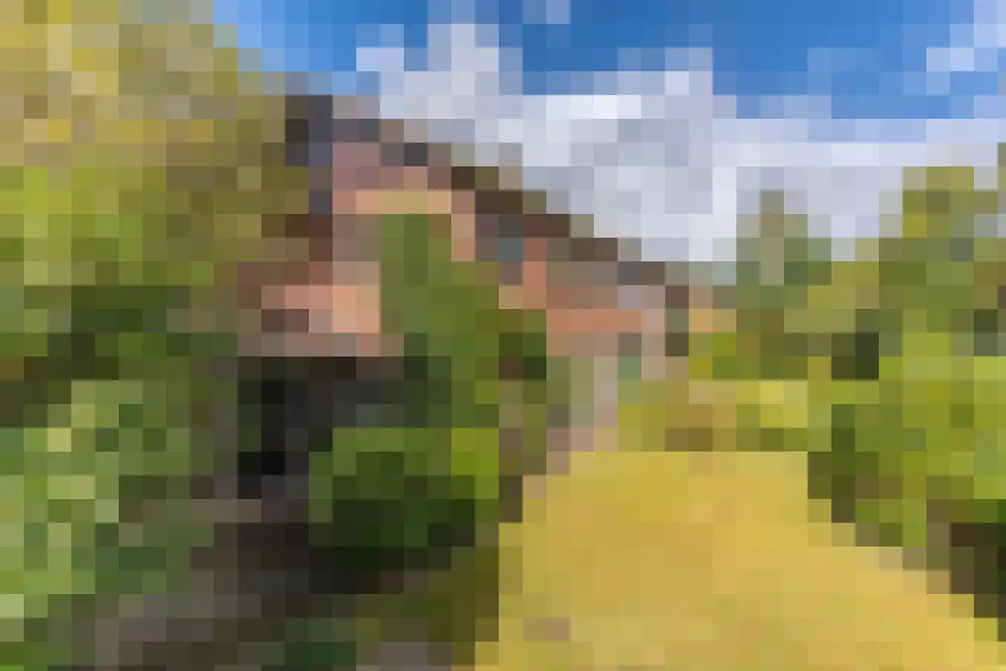 Daalhuizerweg 13 Velp thumbnail 50