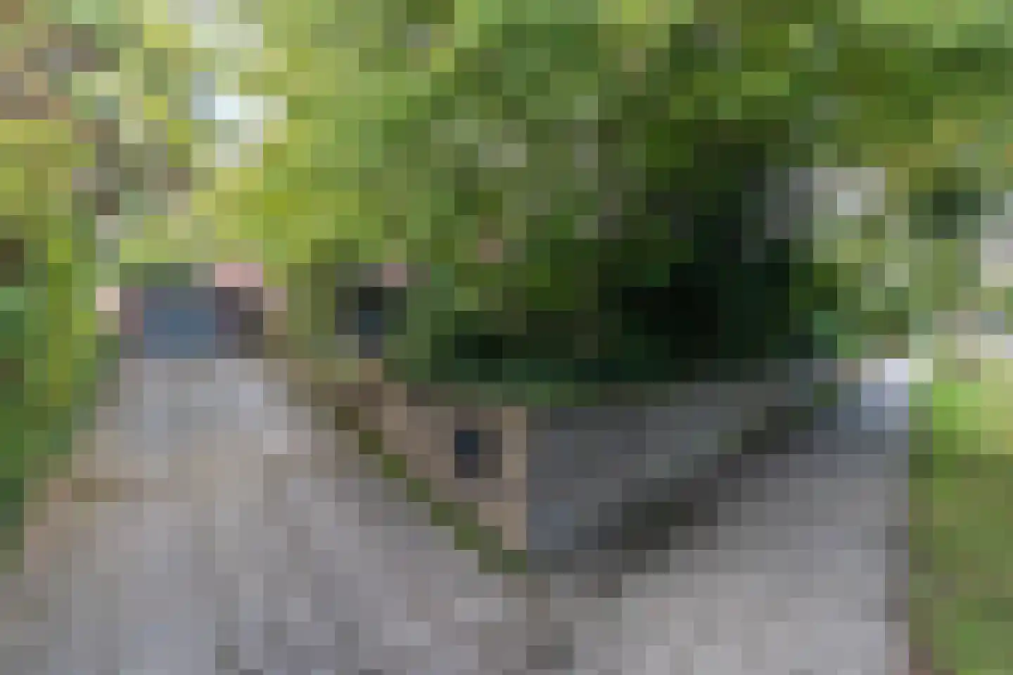 Daalhuizerweg 13 Velp thumbnail 51