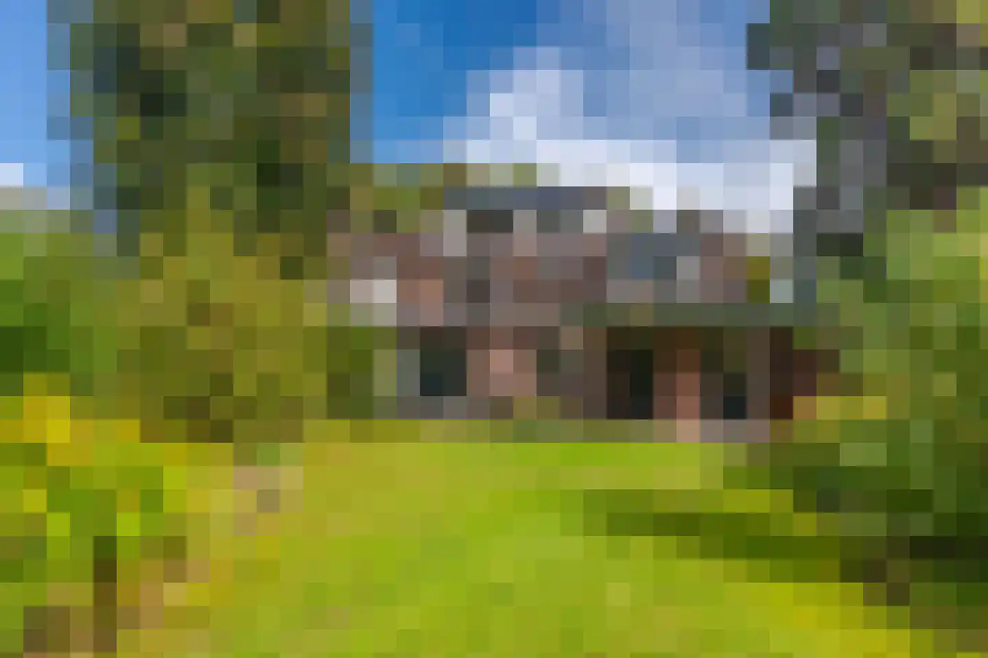 Daalhuizerweg 13 Velp thumbnail 54