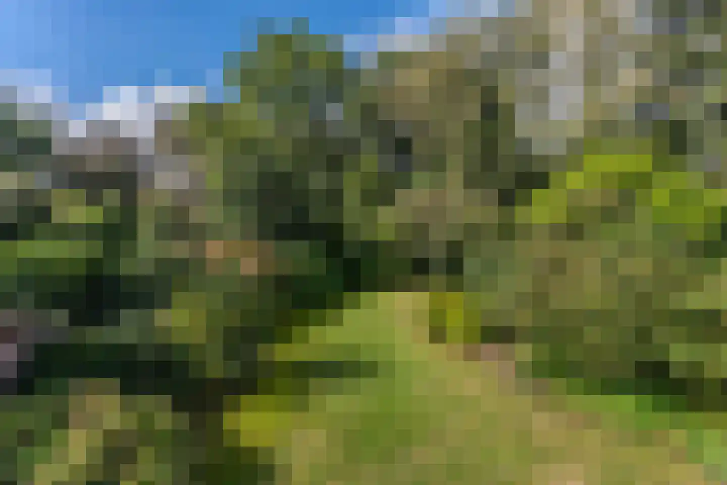 Daalhuizerweg 13 Velp thumbnail 55