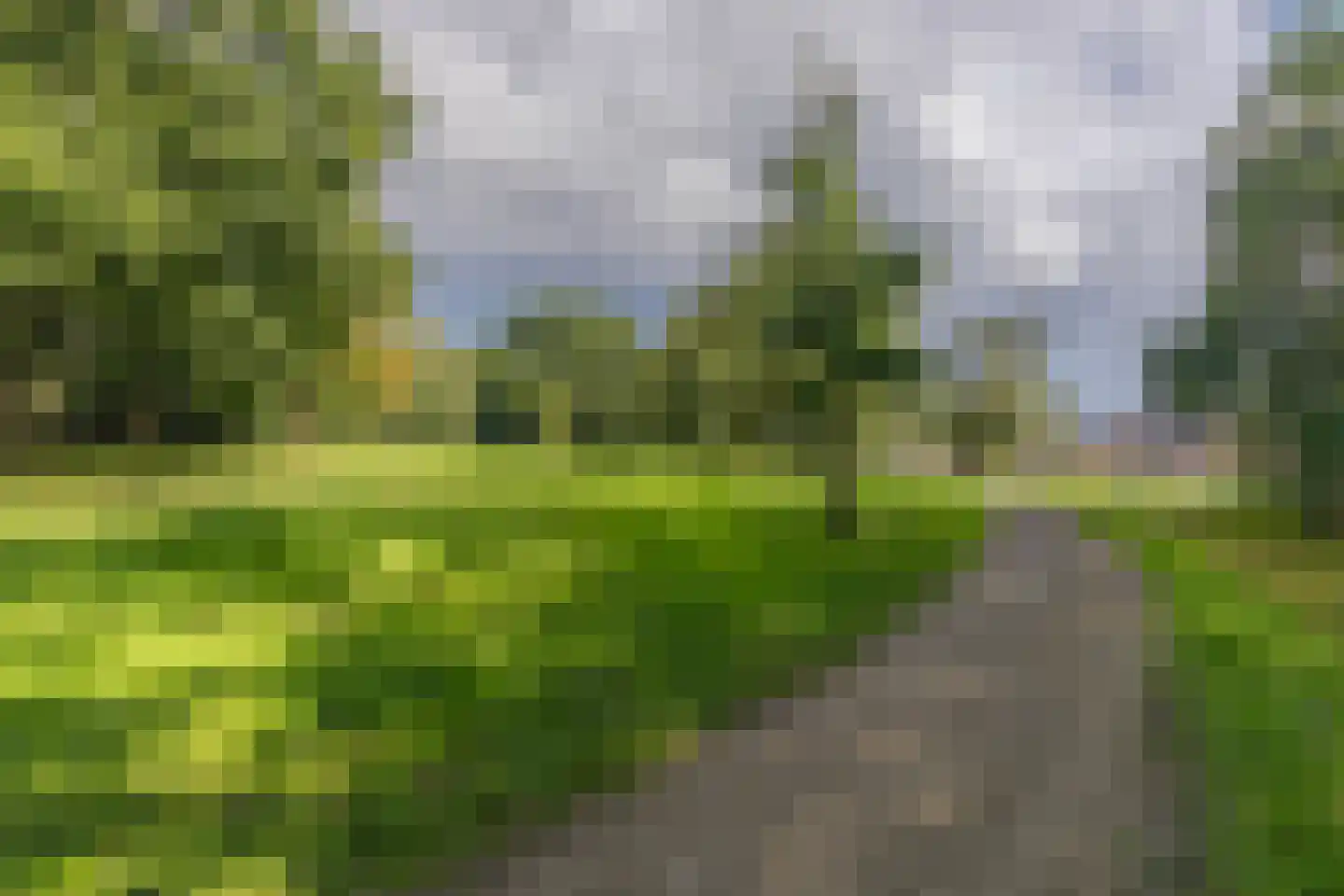 Daalhuizerweg 13 Velp thumbnail 56