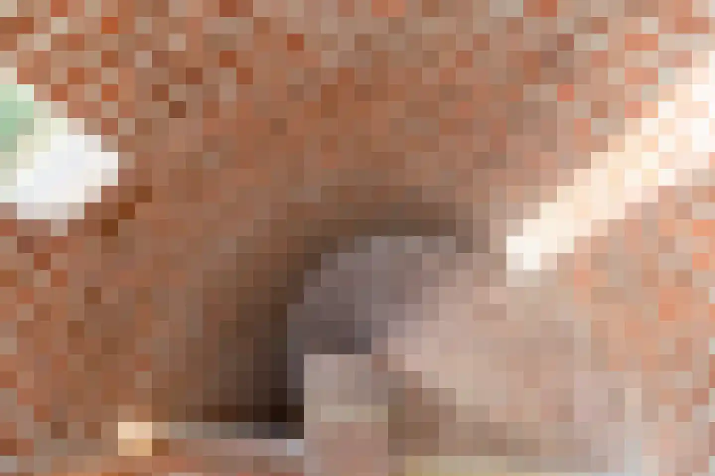 Daalhuizerweg 21 Velp thumbnail 13