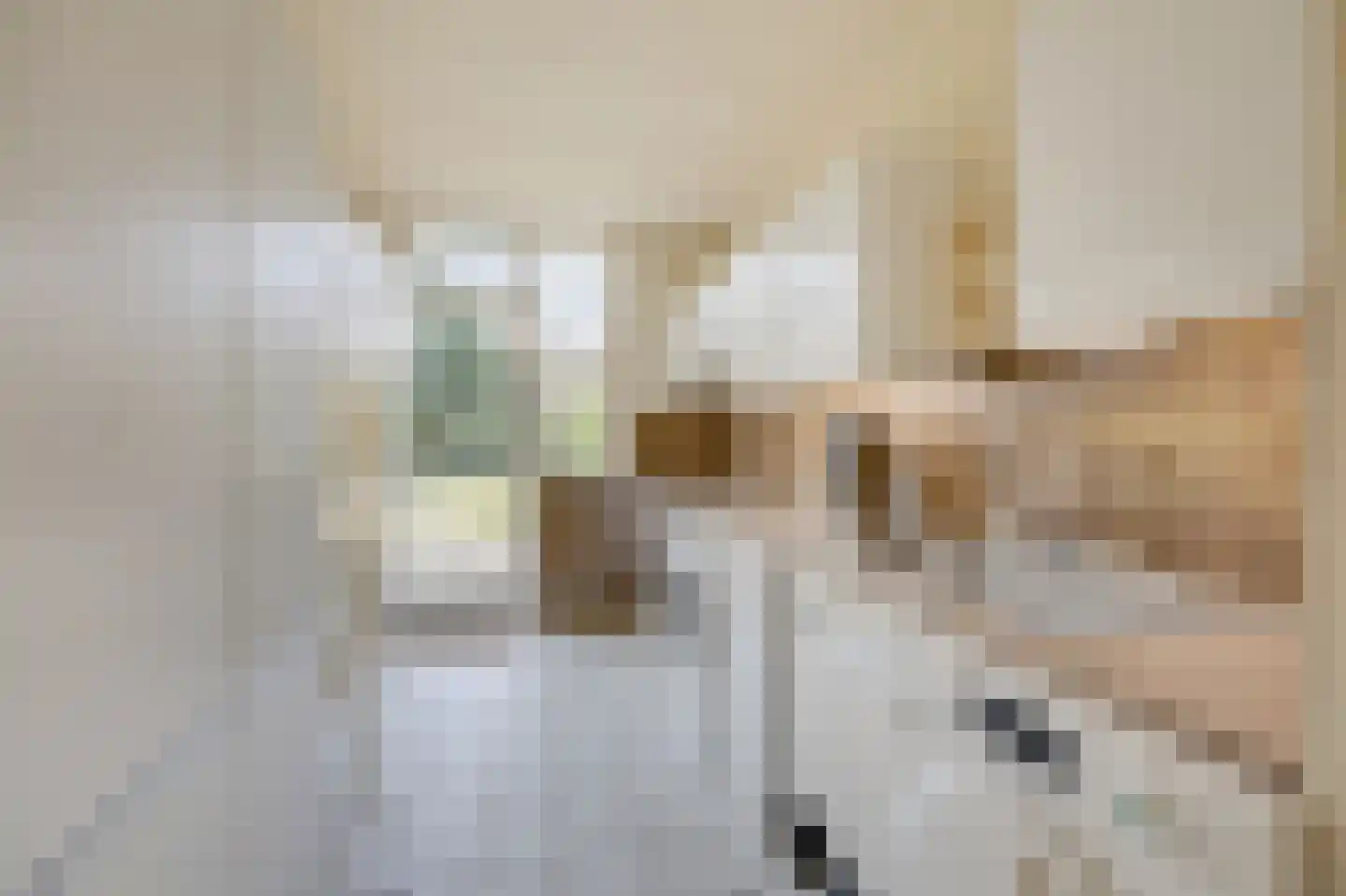 Daalhuizerweg 21 Velp thumbnail 18