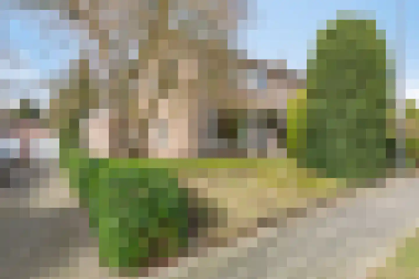 Daalhuizerweg 21 Velp thumbnail 19